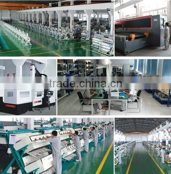 Metak CCD Belt Optical Color Sorter Machine