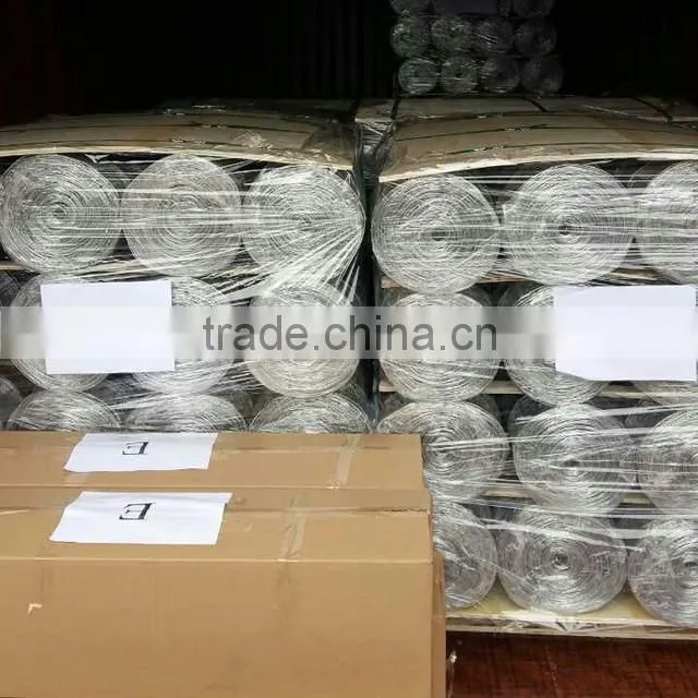 Welded Double Wire Mesh 6/5/6 25x200