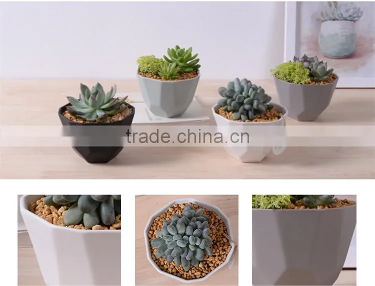 2016 new design irregular ceramic succulent planter