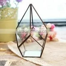 Micro landscape indoor glass greenhouse/ clear glass indoor plant terrarium /Geometric Glass Terrarium