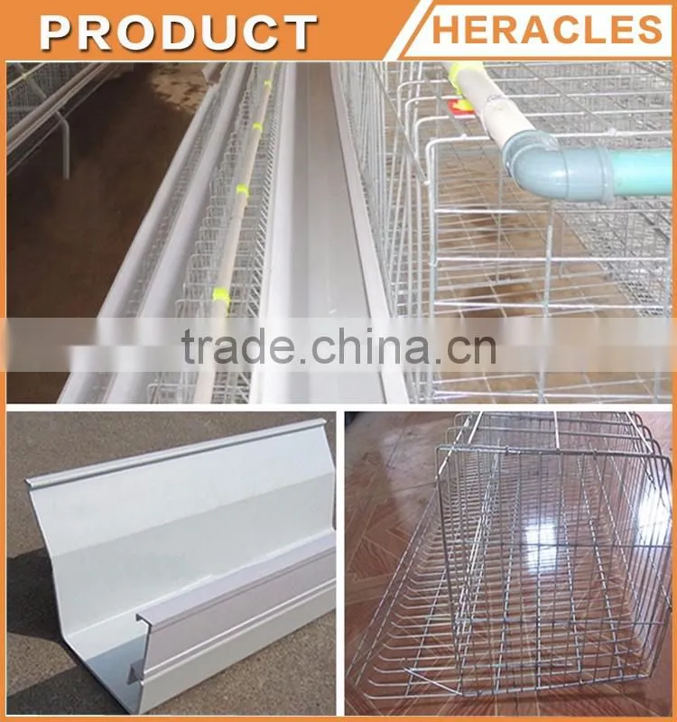 China Heracles Alibaba trade assurance poultry farming equipment chicken layer cage in philippines