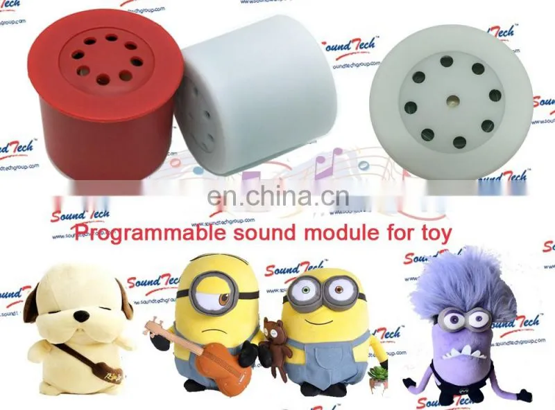 Electronic components programmable voice box