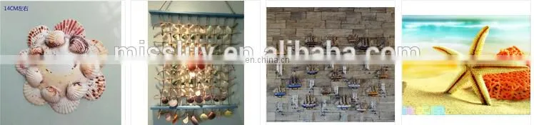 DIY natural seashell color style charm shell accessories for jewelry finding