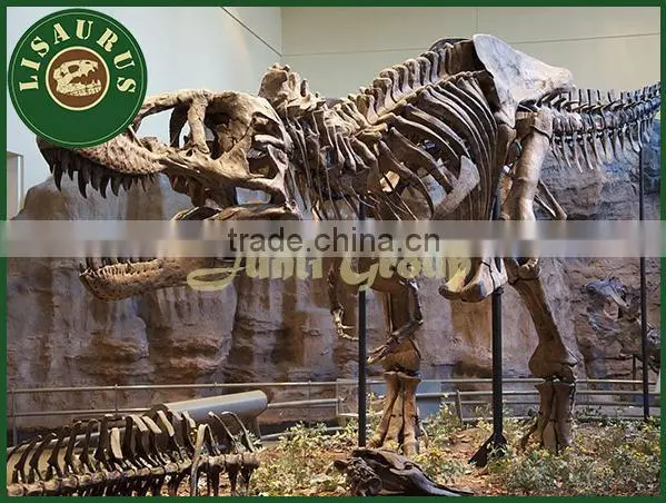 Lisaurus-V promotion for dinosaur bone