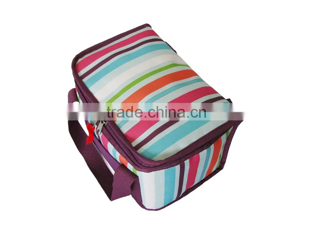 Lunch Cooler Bag