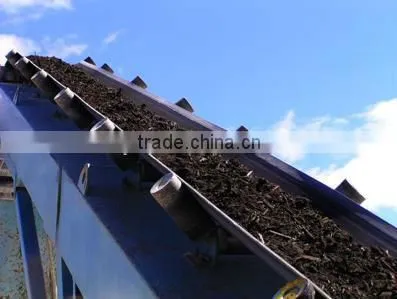 Belt conveyor manufacturer