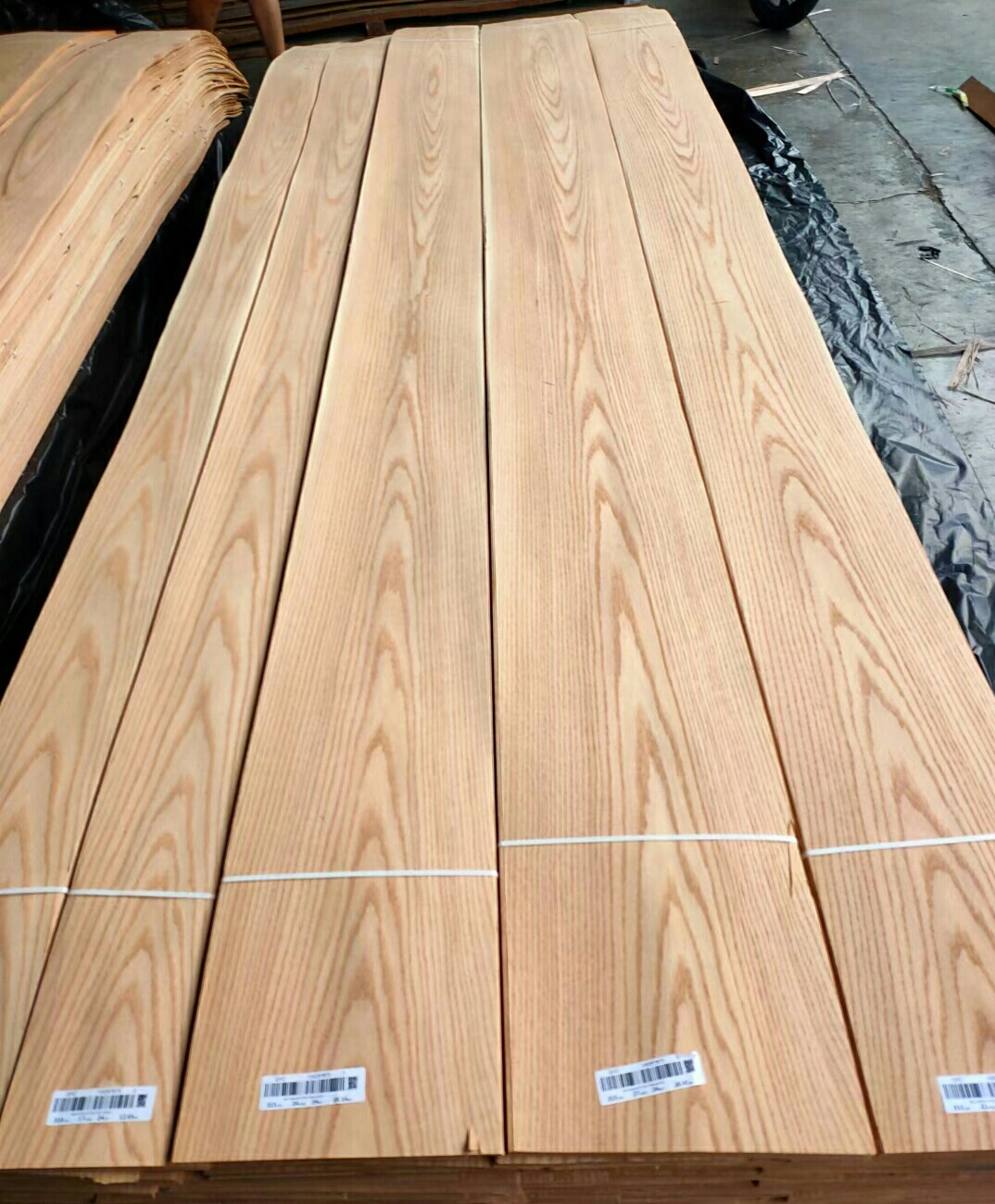 Shunfang Veneer company overview - view 1