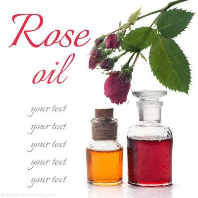50-100L Rose Essential Oilessential Oil Distillation Machine