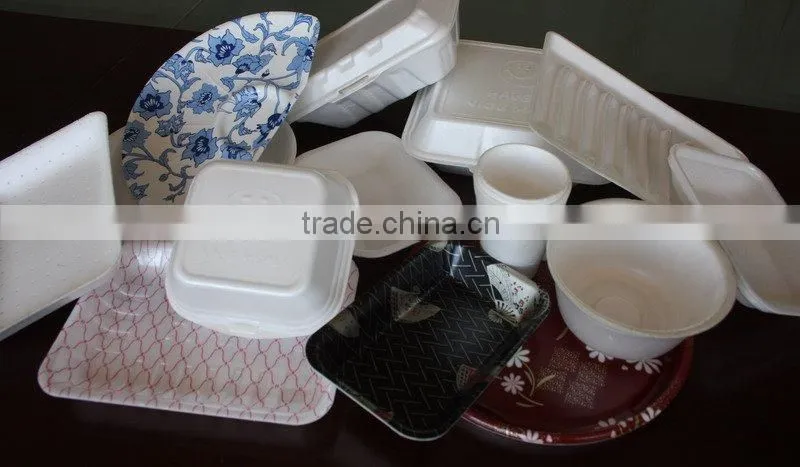 PS Foam Vegetable Tray Making Machine(TYPS-90/120)