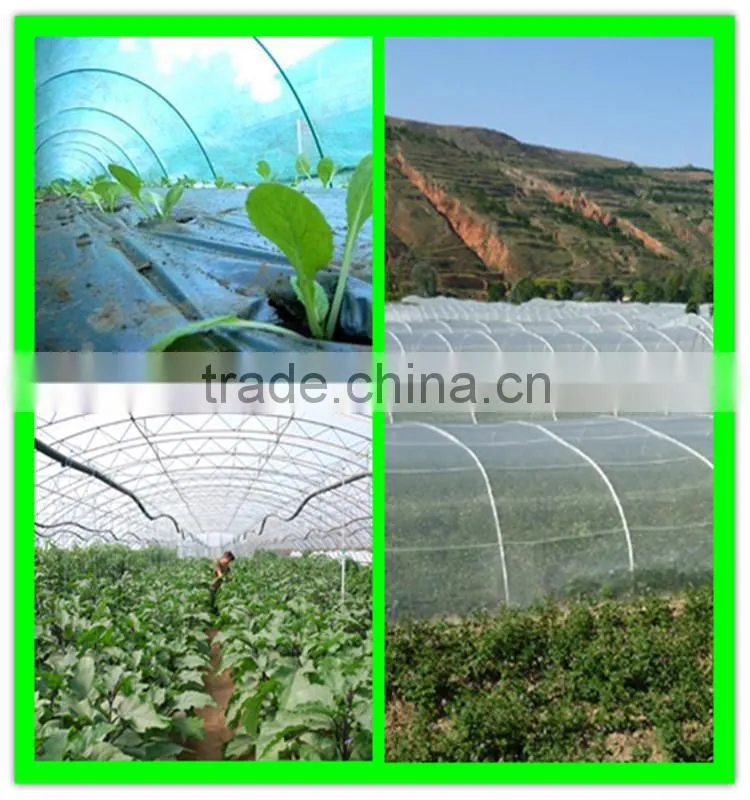 Suntex virgin HDPE anti-insect nets/fruit vegetable netting