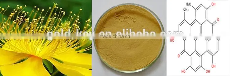 St. John's wort P.E with Uv 0.3% St of health food for best selling