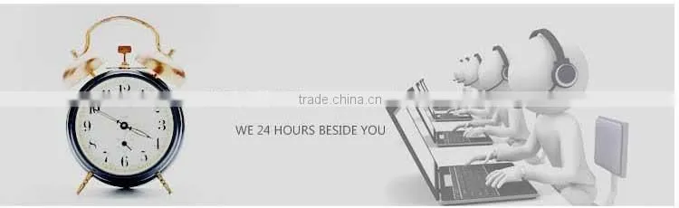 Digital Price Computing Duck Weighing Scale UW-T004