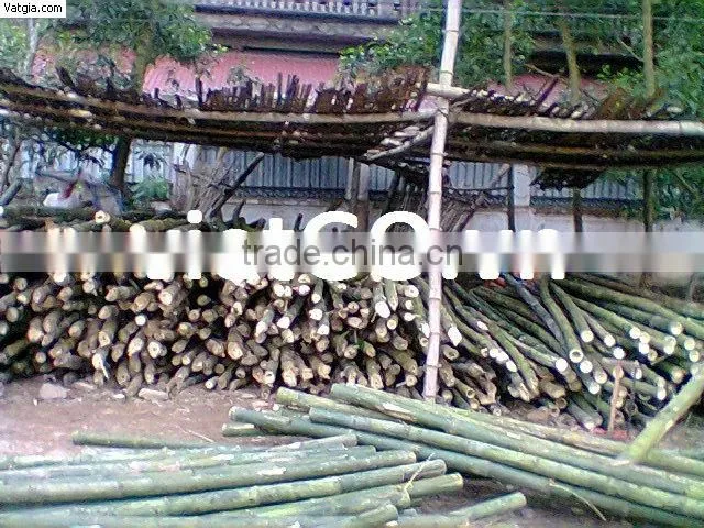 Bark fence with bamboo pole