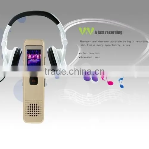 Support MP3 / WAV Mini Professional 8GB LCD Digital Voice Recorder