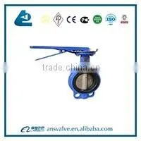 Sanitary Pneumatic butterfly valve