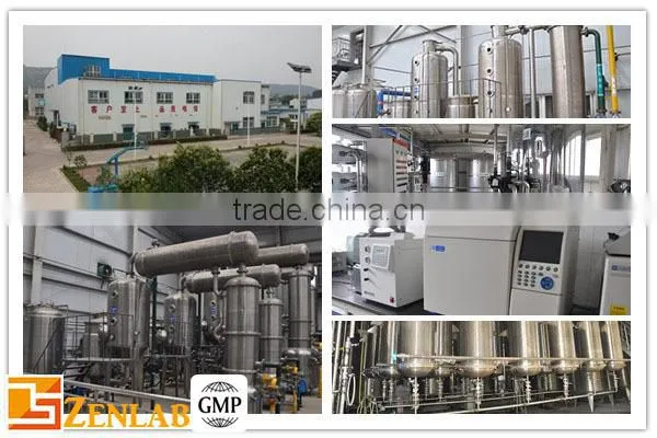 High quality gingerol ginger extract ginger root powder