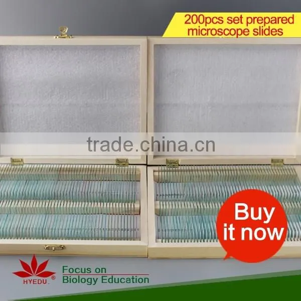 Butterfly w.m. Slides, Glass Prepared Slides,Butterfly mouthpart Prepared Slides