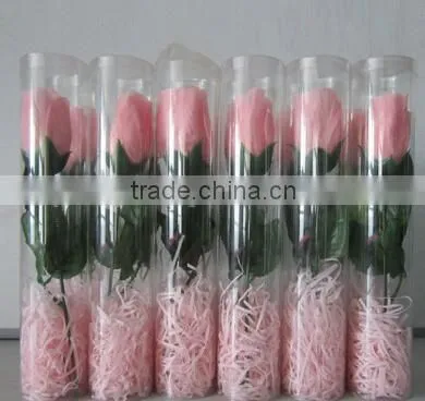 Customizable Hot sale PVC Clear Cylinder Tube With colorful lids and hand stripe