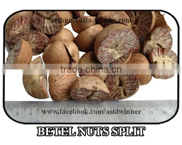 Areca Nuts Split
