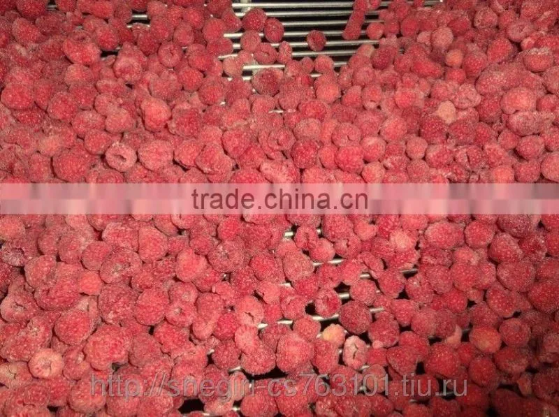 rozen Raspberry, Frozen Sour Cherry, Frozen Blackberry, Frozen Plum, Plum Marmalade, Frozen and Dry Mushrooms