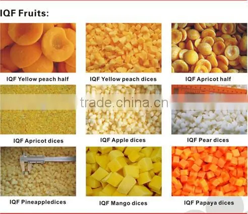 Best price papaya frozen