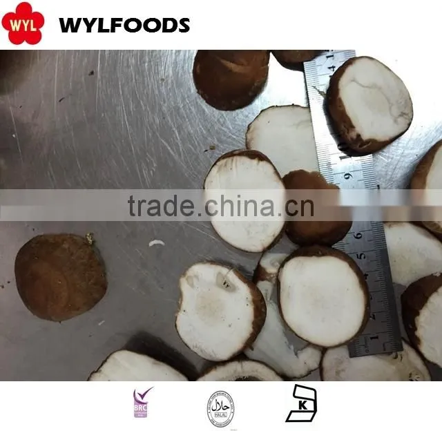 supply shiitake mushroom whole Frozen IQF in China market