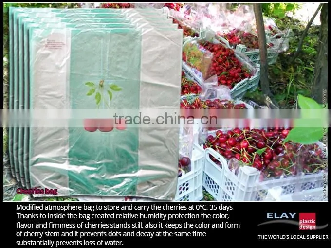 Dragon fruit bag