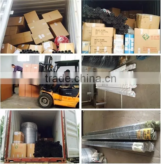 Hot sale!automatic broiler feeding system