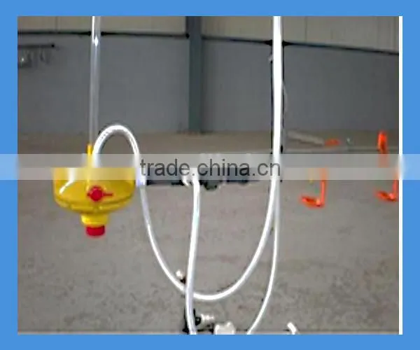 automatic poultry farm drinking system for chicken