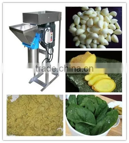 Small garlic paste machine JH-308
