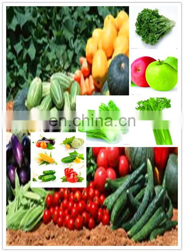 Automatic washing machine vegetable bubble washer