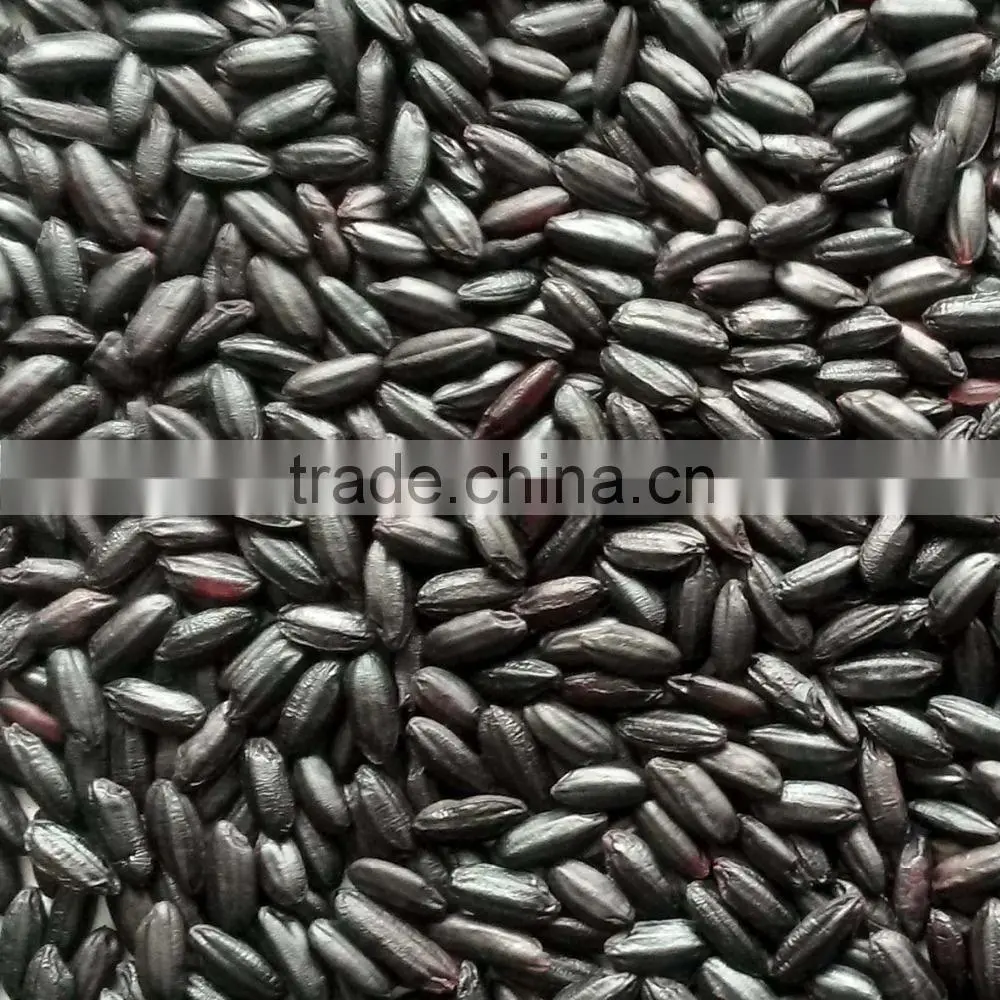 Organic brown rice
