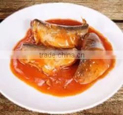 Canned sardines in oil/brine/tomato sauce