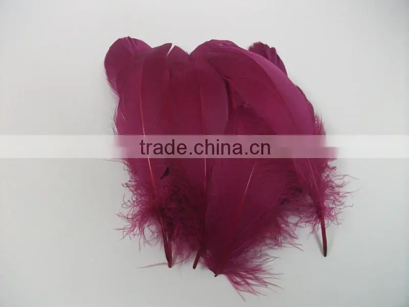 Wholesale Colorful Rooster Feather FH5014
