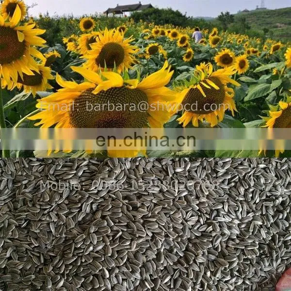Factory manufacture sunflower seed dehulling machine / sunflower seeds sheller / sunflower seed thresher
