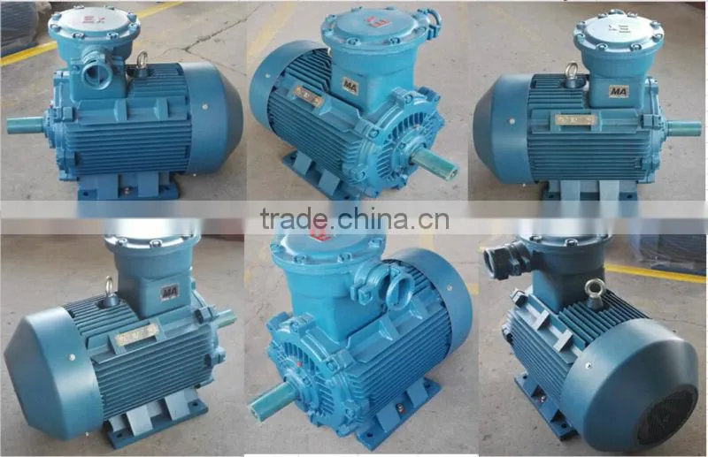 IP55 200kw three phase expolsion proof induction motor