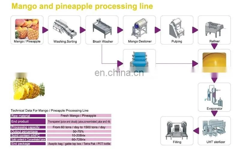 Automatic industrial complete pineapple juice production line