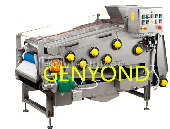 Large Industrial Machinery Food 304 Stainless Steel Fruit and Vegetable Filter Press Coconut Belt Juicer