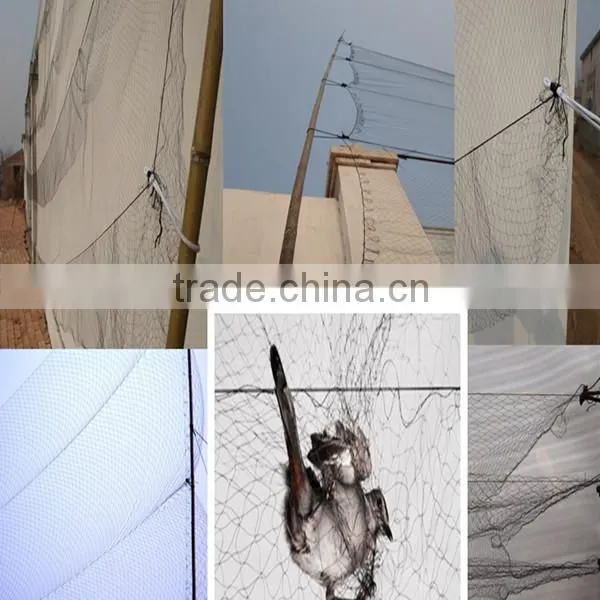 Hot! Nylon Net To Catch Birds & HDPE Anti Bird Net