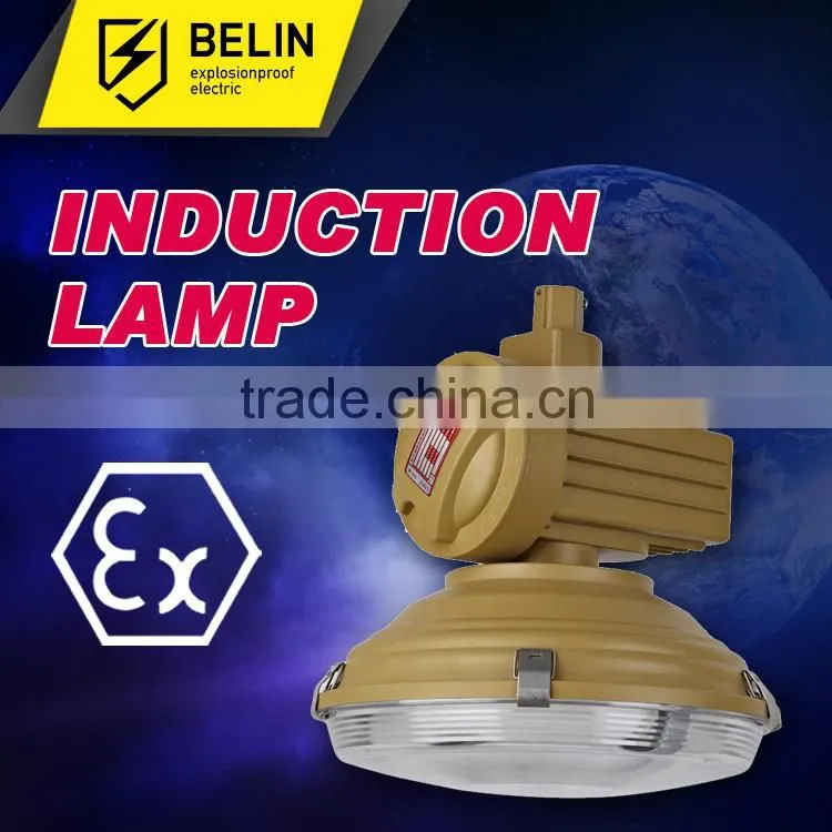 SBD1105 Maintenance free energy saving explosion proof light