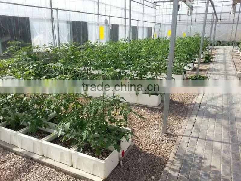 High Quality Commercial Greenhouse for Sale