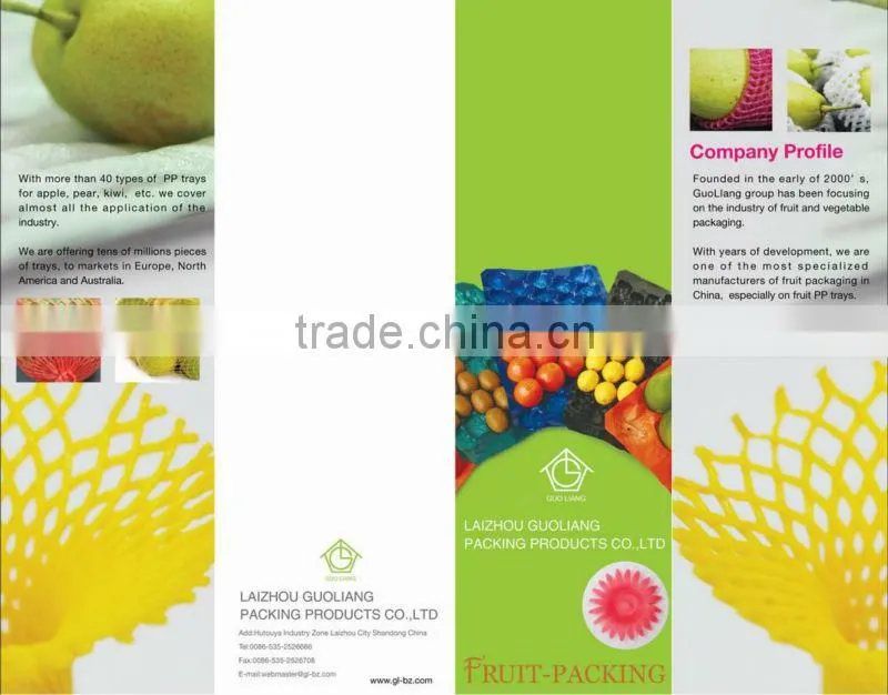 PP Food Packaging 39x59cm