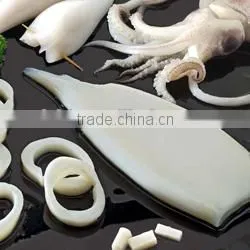 Good quality frozen octopus for sale