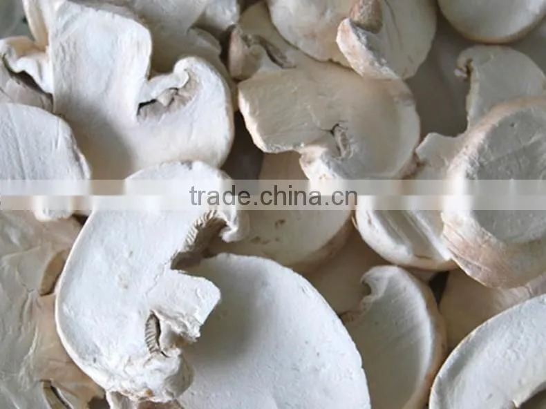 Freeze Dried Mushroom