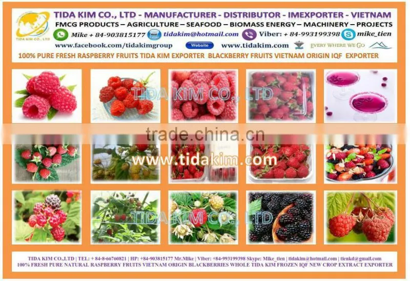 SPRAY DRIED INSTANT COFFEE 100%-FREEZE AGGLOMERATED ARABICA ROBUSTA VIETNAM SOLUBLE COFFEE - ROASTED COFFEE TIDA KIM OEM