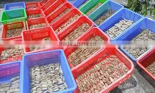 Afv Import Export Co., Ltd company overview - view 2
