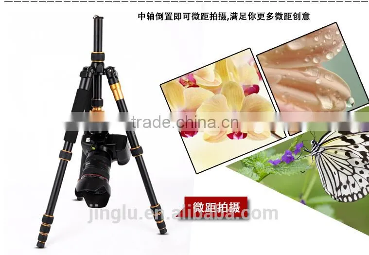 QZSD-668 Portable Lightweight camera Tripod monopod