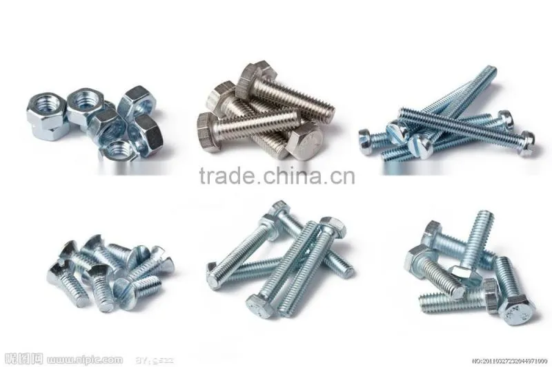 304l hex bolt with nuts