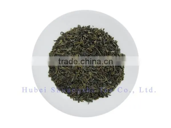 Hot sale Chinese green tea price best Chunmee green tea for uzbekistan