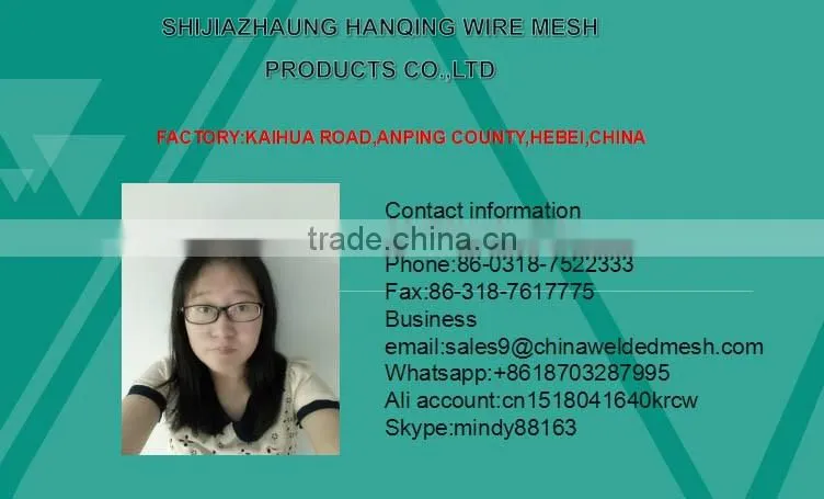2016 new product China supplier Galvanized Hexagonal Wire Mesh